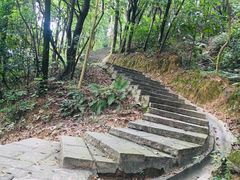 -火炉山森林公园