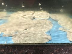 -西贝海鲜汇(槐安路店)
