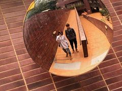-香港大学