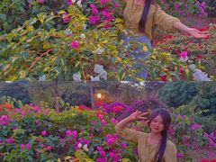 -东莞植物园