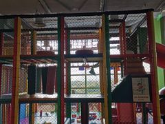 -上海浦东嘉里大酒店