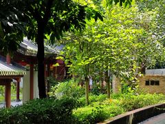 -广州神农草堂中医药博物馆