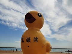 -天津东疆湾沙滩景区