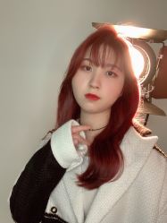 -YESIDO椰岛造型