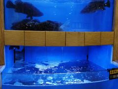 -大榭国际大酒店-中餐厅