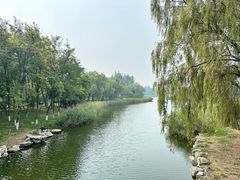 -大兴滨河森林公园