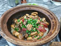 -红星光发煲仔饭(大石街店)