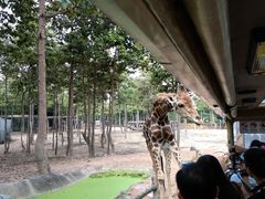 -清迈夜间动物园