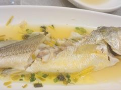 -老绍兴养和饭店(向阳不夜城店)