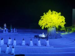 -鼎盛王朝康熙大典实景演出