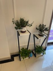 -香秀空间科技抗衰·美容中心