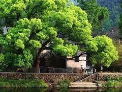 -鹿亭中村