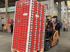 -西郊国际农产品交易中心