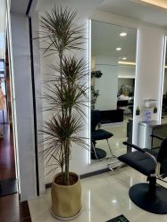 -HaLo hair studio