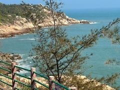-广东惠东海龟国家级自然保护区