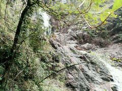 -九龙江国家森林公园