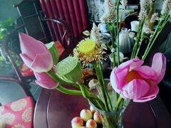 -丹道颐养堂