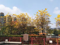 -荔湾湖公园