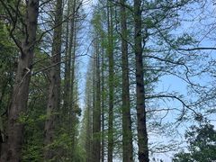 -同里国家湿地公园
