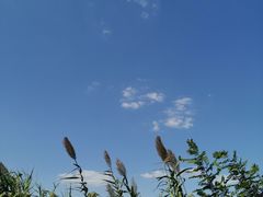 -苏州东太湖生态园
