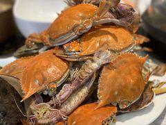 -半岛听涛蒸汽海鲜自助(K11店)
