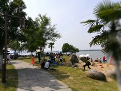 -瑶湖郊野森林公园
