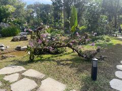-东莞植物园