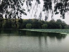 -浮庄