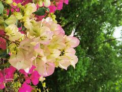 -必胜客(机场路店)