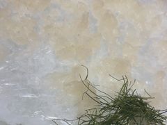 -联邦酒楼