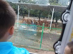 -西安秦岭野生动物园