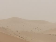 -鸣沙山月牙泉风景名胜区