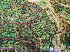 -宁波市保国寺古建筑博物馆