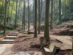 -凤栖山