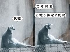 -沈阳森林动物园