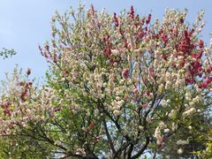 -西安汉城湖景区