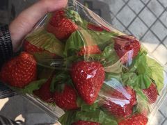 -百果园PAGODA(应元路店)