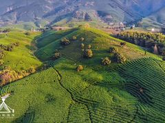 -帐篷客·溪龙茶谷度假酒店