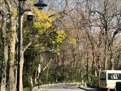 -解香楼(八盘岭路店)