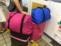 -全日本空输株式会社(上海办事处)