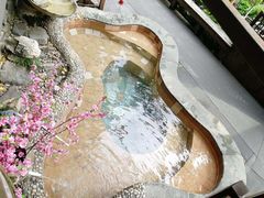 -宁海森林温泉