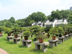 -采石矶景区