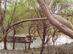 -同里国家湿地公园