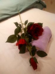 -本真坊美容美体沙龙