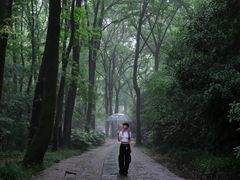 -紫霞湖公园