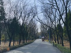 -森林公园(尖草坪区)