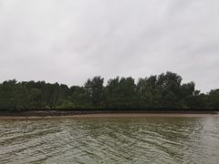 -东寨港红树林旅游区