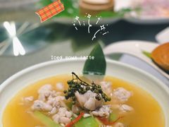 -梧桐