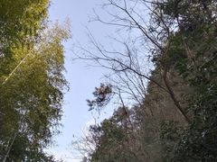 -大慈岩风景区