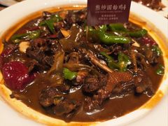 -阿五黄河大鲤鱼(英协路店)